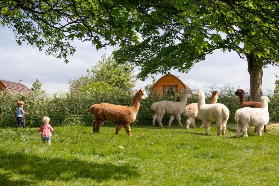 June 2024 Family UK Holidays and Short Breaks