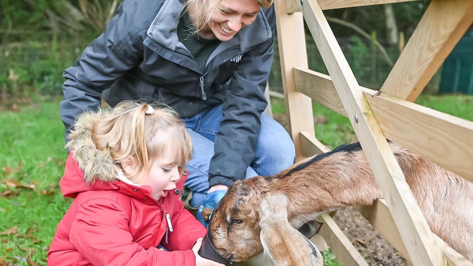 The Ultimate Toddler Adventure: A Family Holiday at Glynn Barton in Cornwall!
