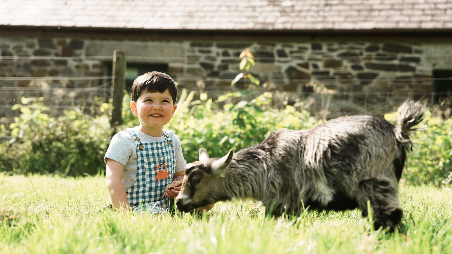 Tredethick Farm Holiday Cottages: Perfect for Families with Young Children