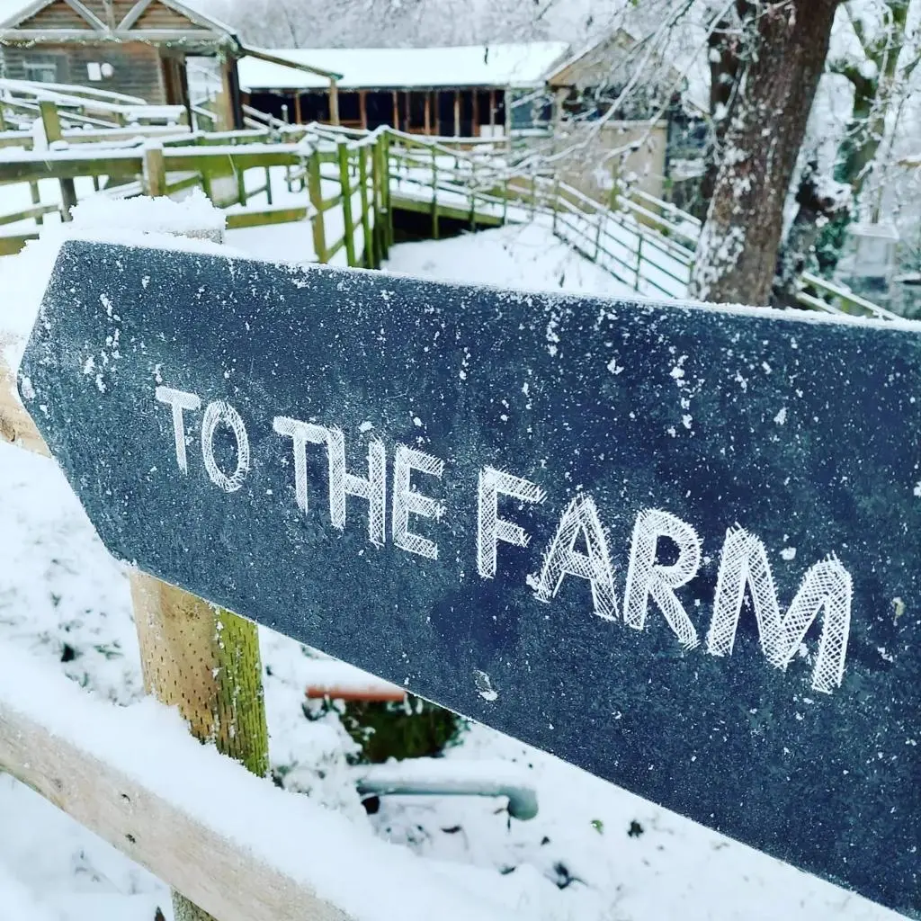 Celebrate the New Year with a Family Farm Stay at North Hayne Farm in Devon